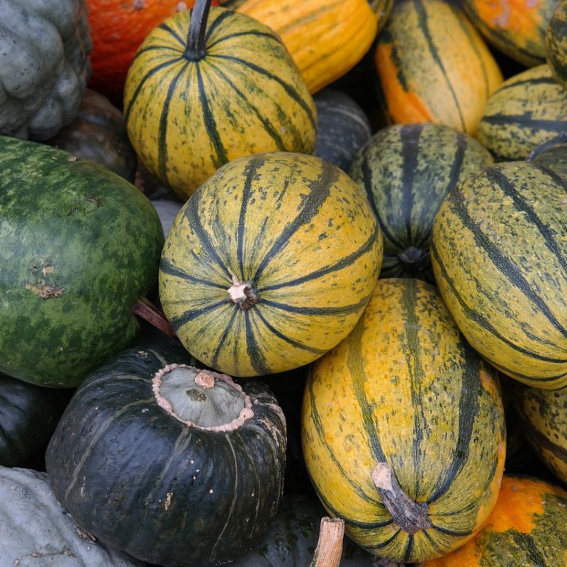 4 Delicious Ways To Cook Spaghetti Squash In Season