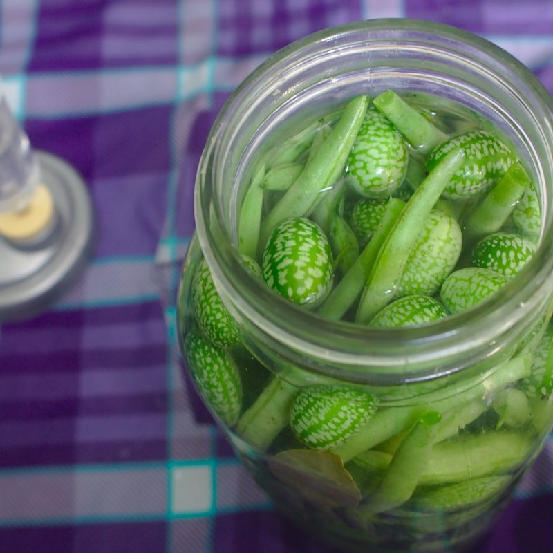 Green Beans With Vinegar And Salt