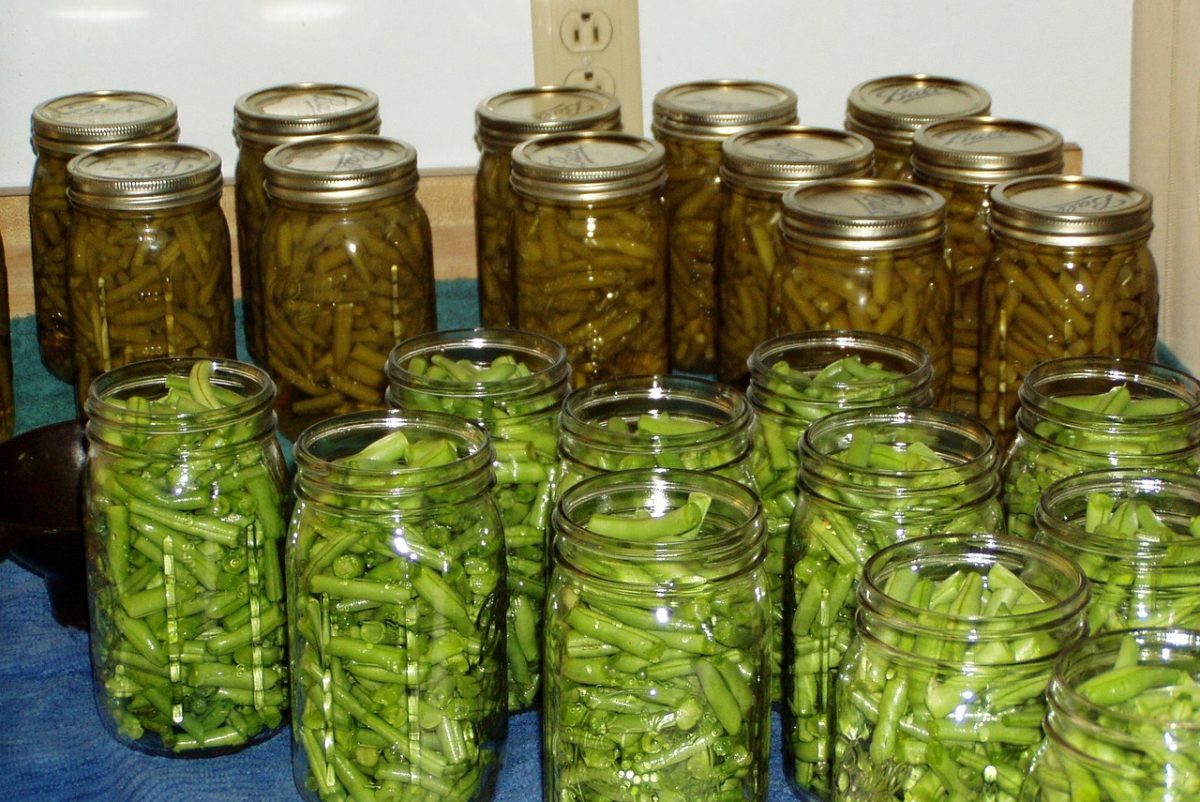 Adding Vinegar To Canning Green Beans SuperFlavorful Dish